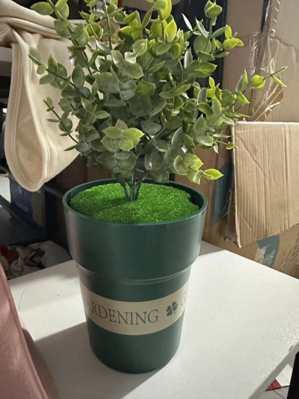 藏物專用盆栽 Secret Stash Plant Pot：圖片 3