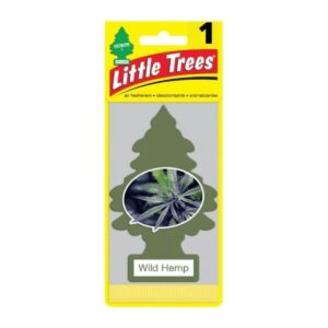 Little Trees STAYHOME